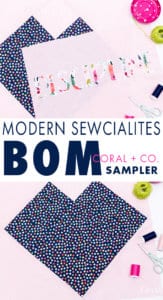block-of-the-month-quilting-sampler-from-modern-sewcialites