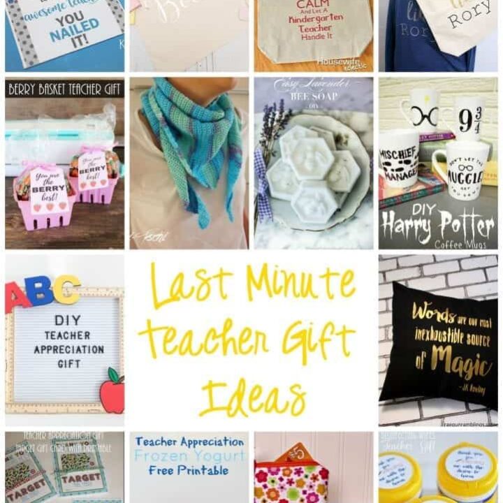 Teacher Appreciation Week Gift Ideas Diy Last Minute Lifesavers That Wow - 04dxk8k