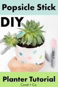 diy-popsicle=stick-planter-tutorial-kids-craft